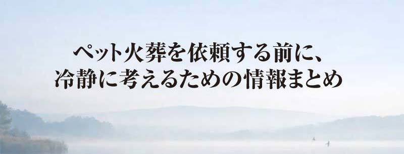 ペット火葬で後悔しないための判断基準まとめ|依頼前に知っておくこと